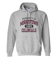 Hoody- Grey